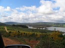 IMG_2936.jpg