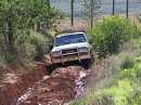IMG_2937.jpg