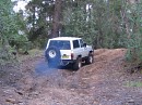IMG_2967.jpg