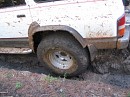 IMG_2970.jpg
