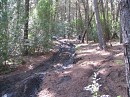IMG_2974.jpg