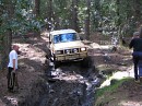 IMG_2979.jpg