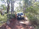 IMG_2989.jpg