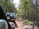 IMG_3000.jpg