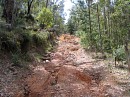 IMG_3002.jpg