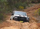 IMG_3023.jpg