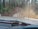IMG_3048.jpg