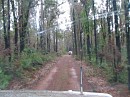 IMG_3050.jpg