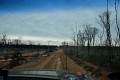DSCF5135.JPG