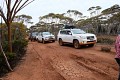 DSCF5147.JPG