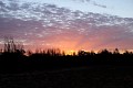 DSCF5174.JPG