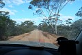 DSCF5222.JPG