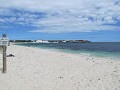 IMG_1601.JPG
