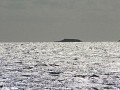 IMG_1617.JPG