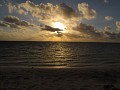 IMG_1635.JPG