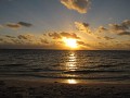 IMG_1661.JPG