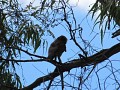 IMG_1725.JPG