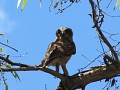 IMG_1728.JPG