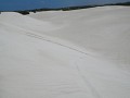 PB140023.JPG