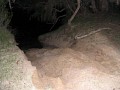 IMG_0098.jpg