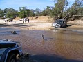 IMG_3245.jpg