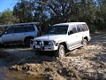 IMG_3247.jpg