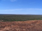 IMG_1348.jpg