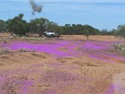 IMG_1364.jpg