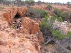IMG_1382.jpg