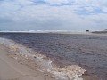 IMG_6337.jpg