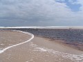 IMG_6341.jpg