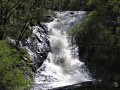 IMG_6366.jpg