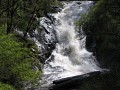 IMG_6368.jpg