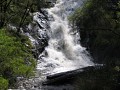 IMG_6369.jpg