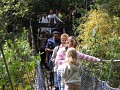IMG_6373.jpg