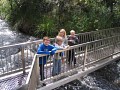 IMG_6377.jpg