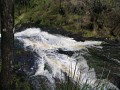 IMG_6382.jpg