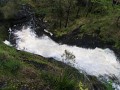 IMG_6385.jpg