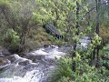 IMG_6386.jpg