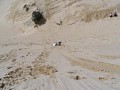 IMG_6413.jpg