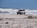 IMG_6424.jpg