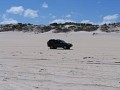 IMG_6426.jpg