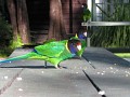 IMG_6463.jpg