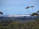 IMG_1088.jpg