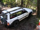 IMG_1166.jpg