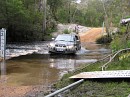 IMG_1185.jpg