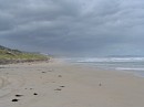 IMG_1201.jpg