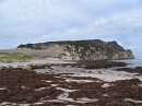 IMG_1210.jpg