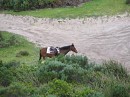IMG_1219.jpg