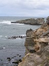 IMG_1226.jpg